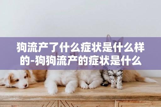 狗流產了什么癥狀是什么樣的-狗狗流產的癥狀是什么