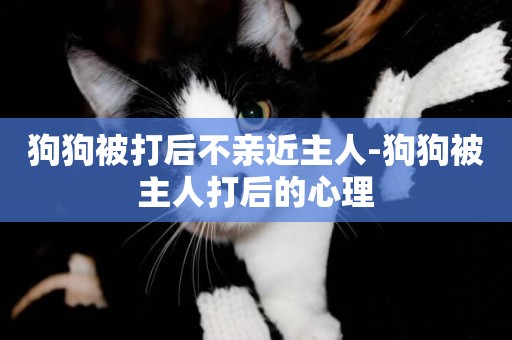 狗狗被打后不親近主人-狗狗被主人打后的心理