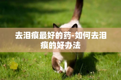 去淚痕最好的藥-如何去淚痕的好辦法