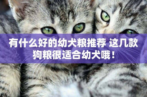 有什么好的幼犬糧推薦 這幾款狗糧很適合幼犬哦！