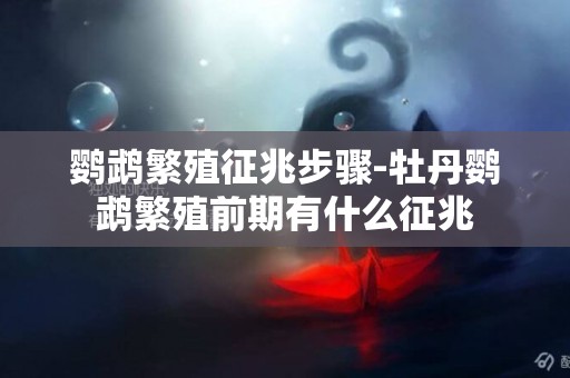鸚鵡繁殖征兆步驟-牡丹鸚鵡繁殖前期有什么征兆