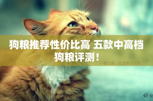 狗糧推薦性價比高 五款中高檔狗糧評測！