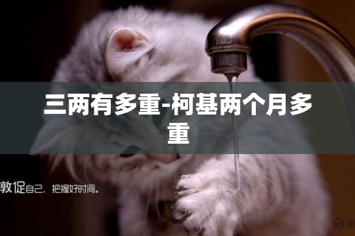 三兩有多重-柯基兩個月多重