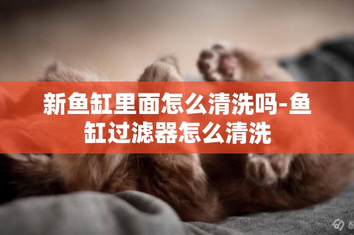 新魚缸里面怎么清洗嗎-魚缸過濾器怎么清洗
