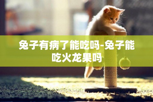 兔子有病了能吃嗎-兔子能吃火龍果嗎