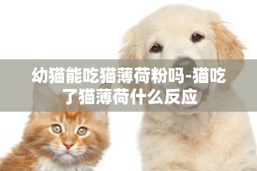 幼貓能吃貓薄荷粉嗎-貓吃了貓薄荷什么反應