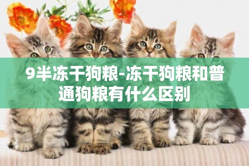9半凍干狗糧-凍干狗糧和普通狗糧有什么區別