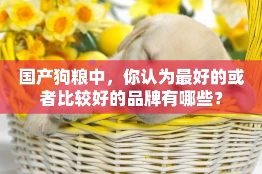 國產狗糧中，你認為最好的或者比較好的品牌有哪些？