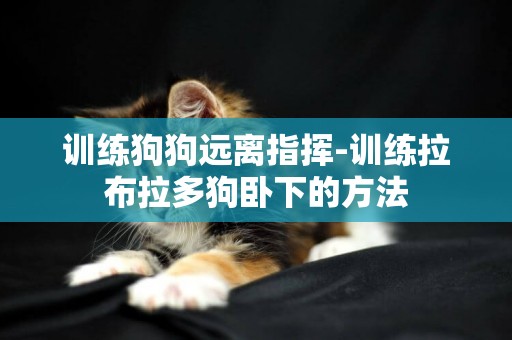 訓練狗狗遠離指揮-訓練拉布拉多狗臥下的方法