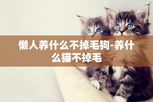 懶人養什么不掉毛狗-養什么貓不掉毛
