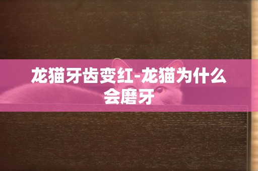 龍貓牙齒變紅-龍貓為什么會磨牙