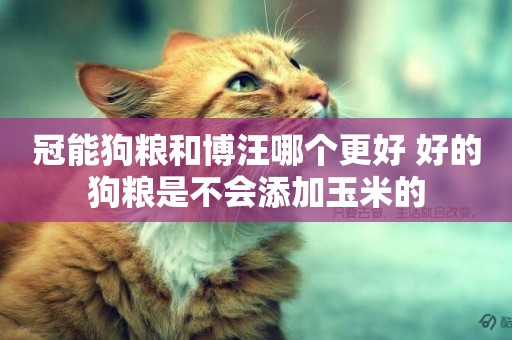 冠能狗糧和博汪哪個更好 好的狗糧是不會添加玉米的
