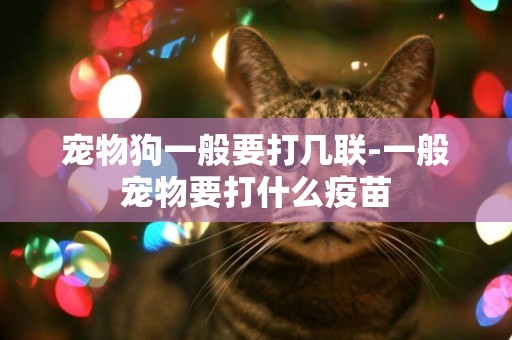 寵物狗一般要打幾聯-一般寵物要打什么疫苗