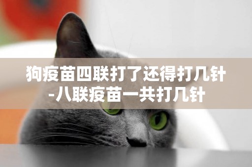 狗疫苗四聯打了還得打幾針-八聯疫苗一共打幾針