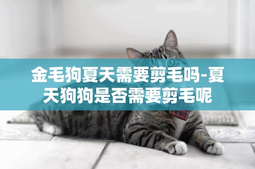 金毛狗夏天需要剪毛嗎-夏天狗狗是否需要剪毛呢