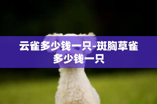 云雀多少錢一只-斑胸草雀多少錢一只