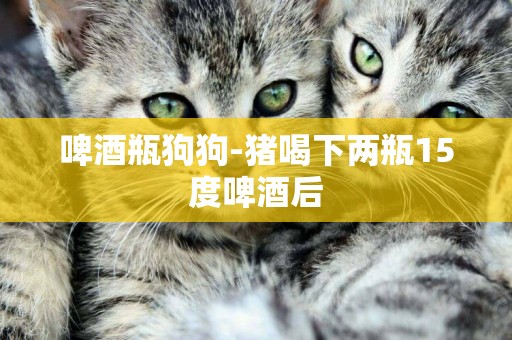 啤酒瓶狗狗-豬喝下兩瓶15度啤酒后