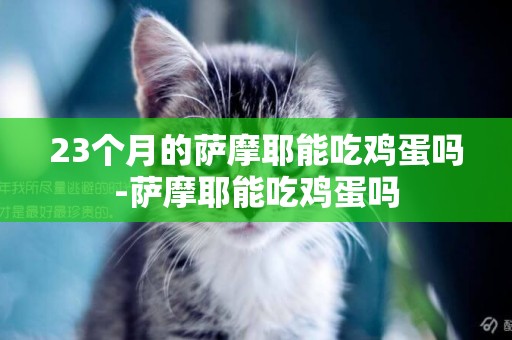 23個月的薩摩耶能吃雞蛋嗎-薩摩耶能吃雞蛋嗎