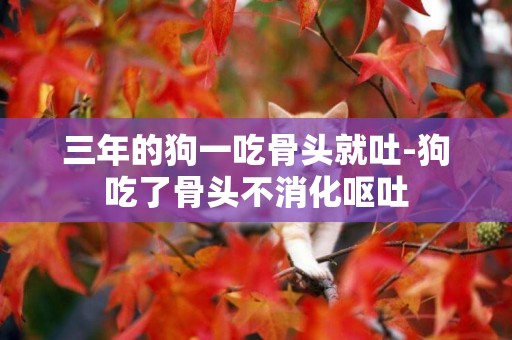 三年的狗一吃骨頭就吐-狗吃了骨頭不消化嘔吐