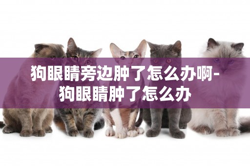 狗眼睛旁邊腫了怎么辦啊-狗眼睛腫了怎么辦