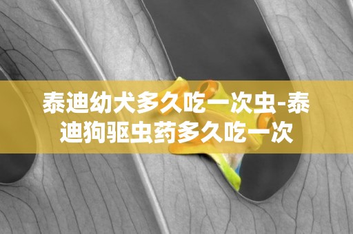 泰迪幼犬多久吃一次蟲-泰迪狗驅蟲藥多久吃一次