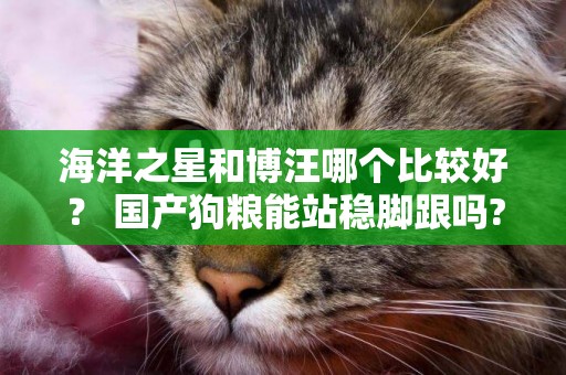 海洋之星和博汪哪個比較好？ 國產狗糧能站穩腳跟嗎?