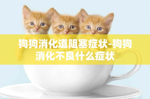 狗狗消化道阻塞癥狀-狗狗消化不良什么癥狀