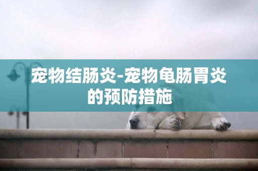 寵物結腸炎-寵物龜腸胃炎的預防措施