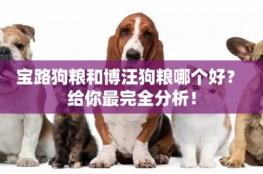 寶路狗糧和博汪狗糧哪個好？ 給你最完全分析！