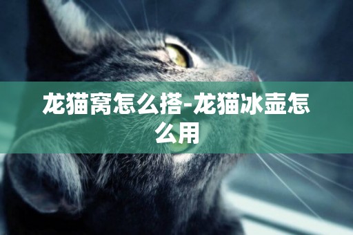 龍貓窩怎么搭-龍貓冰壺怎么用