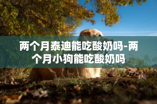 兩個月泰迪能吃酸奶嗎-兩個月小狗能吃酸奶嗎