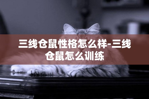 三線倉鼠性格怎么樣-三線倉鼠怎么訓練