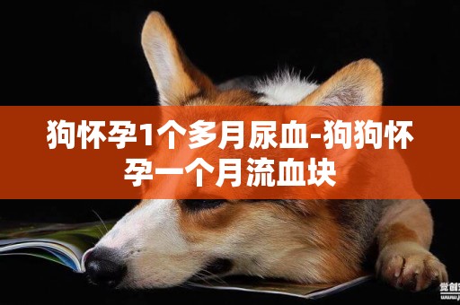 狗懷孕1個多月尿血-狗狗懷孕一個月流血塊