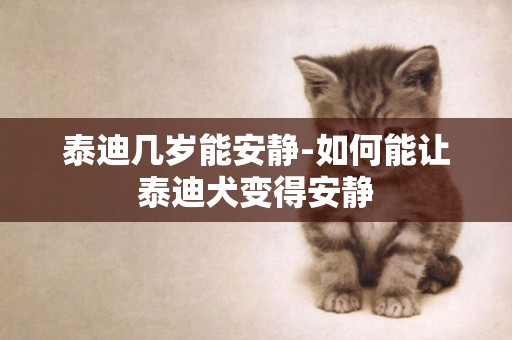泰迪幾歲能安靜-如何能讓泰迪犬變得安靜