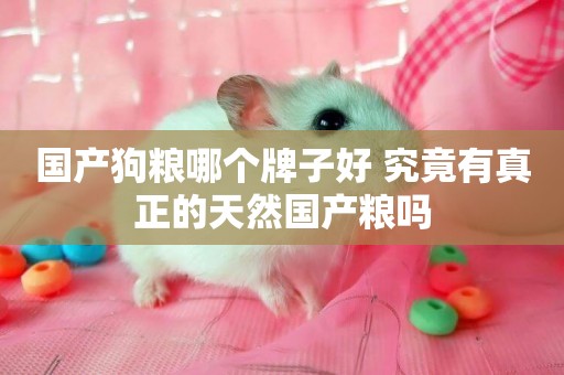 國產狗糧哪個牌子好 究竟有真正的天然國產糧嗎
