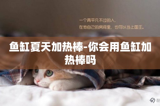 魚缸夏天加熱棒-你會用魚缸加熱棒嗎