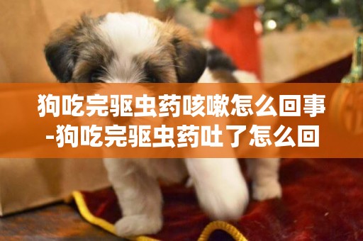 狗吃完驅蟲藥咳嗽怎么回事-狗吃完驅蟲藥吐了怎么回事