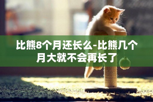 比熊8個月還長么-比熊幾個月大就不會再長了