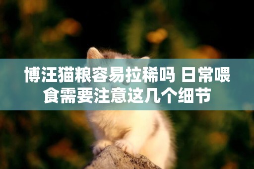 博汪貓糧容易拉稀嗎 日常喂食需要注意這幾個細節