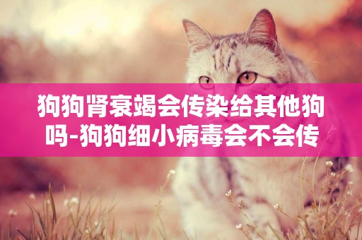 狗狗腎衰竭會傳染給其他狗嗎-狗狗細小病毒會不會傳染給其他狗