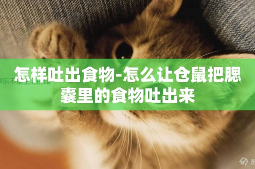 怎樣吐出食物-怎么讓倉鼠把腮囊里的食物吐出來