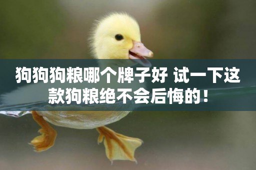 狗狗狗糧哪個牌子好 試一下這款狗糧絕不會后悔的！