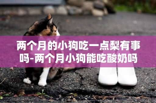 兩個月的小狗吃一點梨有事嗎-兩個月小狗能吃酸奶嗎