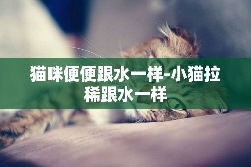貓咪便便跟水一樣-小貓拉稀跟水一樣
