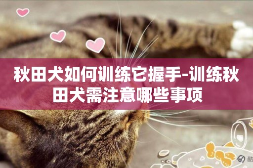 秋田犬如何訓練它握手-訓練秋田犬需注意哪些事項