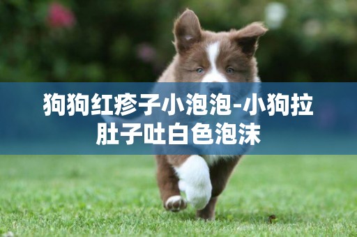 狗狗紅疹子小泡泡-小狗拉肚子吐白色泡沫