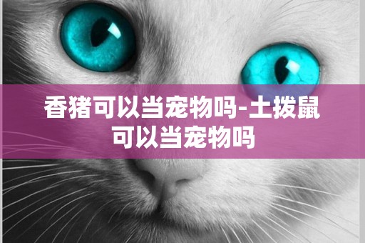 香豬可以當寵物嗎-土撥鼠可以當寵物嗎
