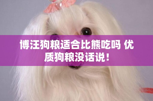 博汪狗糧適合比熊吃嗎 優質狗糧沒話說！