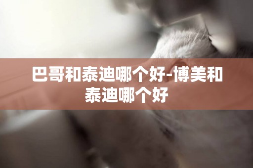 巴哥和泰迪哪個好-博美和泰迪哪個好