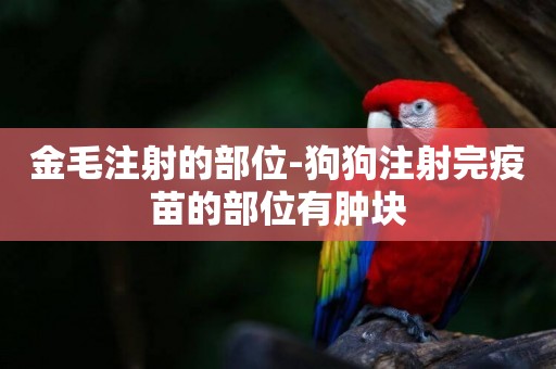 金毛注射的部位-狗狗注射完疫苗的部位有腫塊